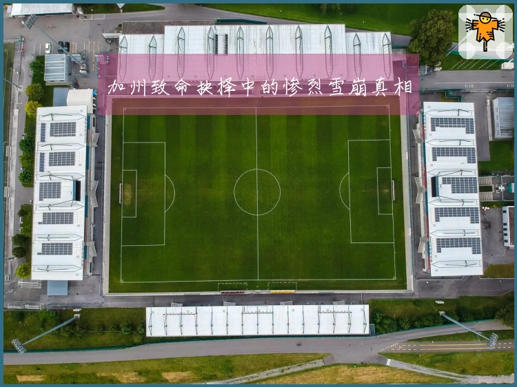 加州致命抉择中的惨烈雪崩真相