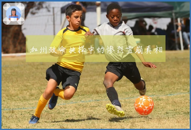 加州致命抉择中的惨烈雪崩真相